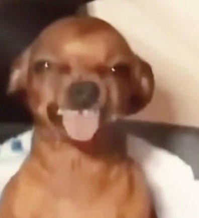 RoarinAlexxx's tweet photo. @saturnevonne How im feelin cause that plate finna hittt https://t.co/sQXwsMe2wZ