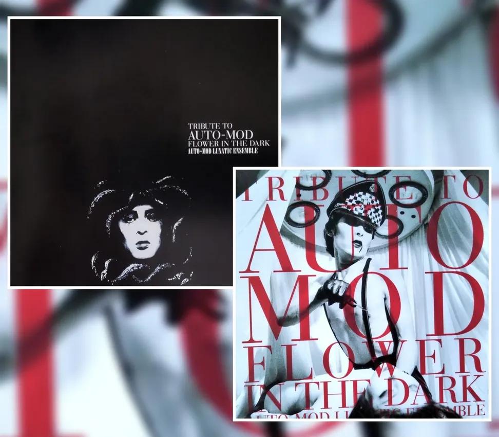 golgotha429's tweet photo. 31年前の1995年の今日、6月21日は
「AUTO‐MOD LUNATIC ENSEMBLE
TRIBUTE TO AUTO‐MOD、
“FLOWER IN THE DARK”」がReleaseされた日💿️✨
清司さん参加の
“SEIKIMATSU‐CABARET”と
“DEATHTOPIA”のguitarがむちゃくちゃカッコイイ😆💕(清春さんvocal)
#AUTOMOD
#TRIBUTE
#GENET
#KIYOSHI
#SUGIZO
#清春 https://t.co/p3lSrVOB5I