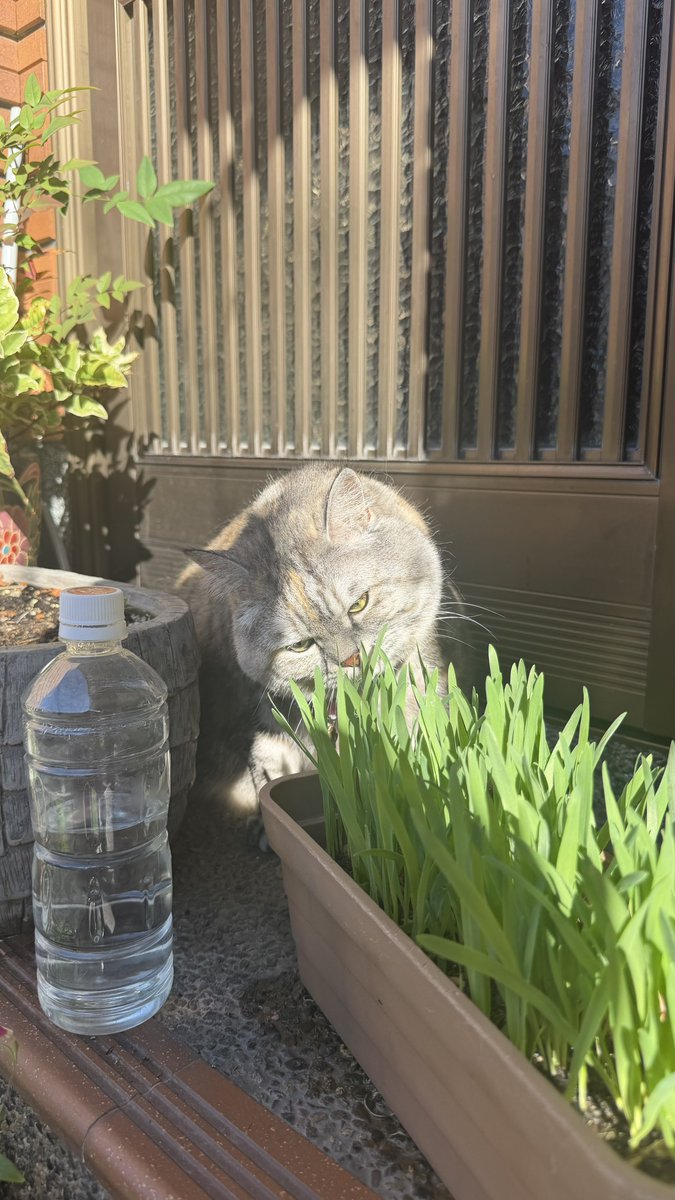 MORI2180's tweet photo. 念願のお外 https://t.co/UgpGK0FXFN
