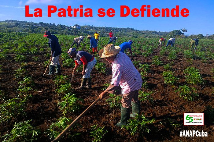 salgado_re78001's tweet photo. La realidad nos impone cambios urgentes y necesarios. Y cuando la vida del pueblo se vuelve tan dura, el primer deber del Partido Comunista y del Gobierno revolucionario no es explicar mejor la crisis, sino cambiar lo que haya que cambiar para salir de ella”. @DiazCanelB https://t.co/DHTnM7ZmN5