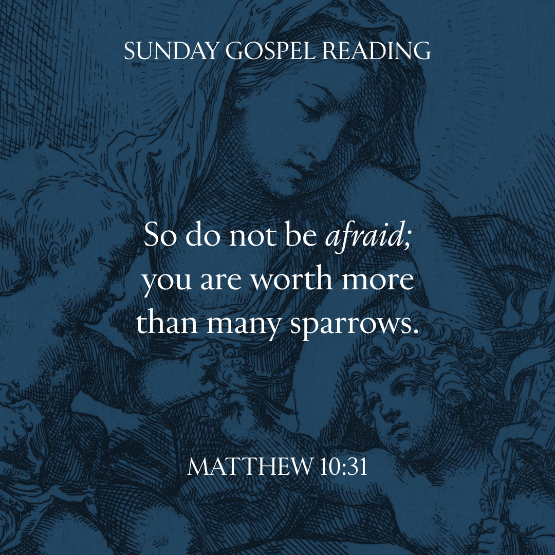 saintpaulcenter's tweet photo. Three times in today's Gospel, Jesus assures us not to be afraid.

Though He may permit us to suffer for our faith, our Father will never forget or abandon us.

As Jesus teaches us today, everything unfolds in His providence, under His watchful gaze.

#DoNotBeAfraid https://t.co/TL2zYBBjcx