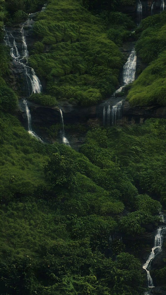 greenvibe's tweet photo. Nature writes its own poetry here. https://t.co/vclNcvwY7q