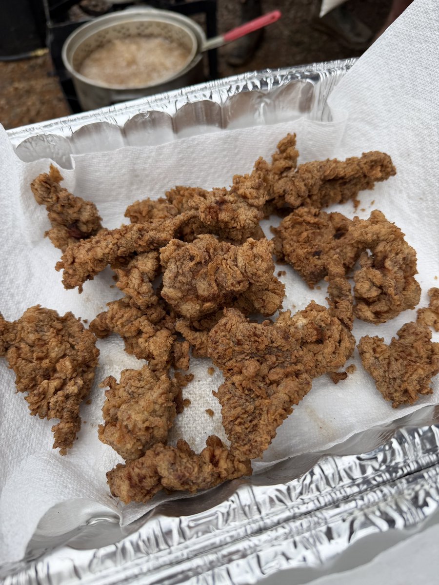 SmithDestin's tweet photo. Food at Neshoba County Fair goes hard! Fried backstrap and duck poppers! https://t.co/T6NHSKgJKO