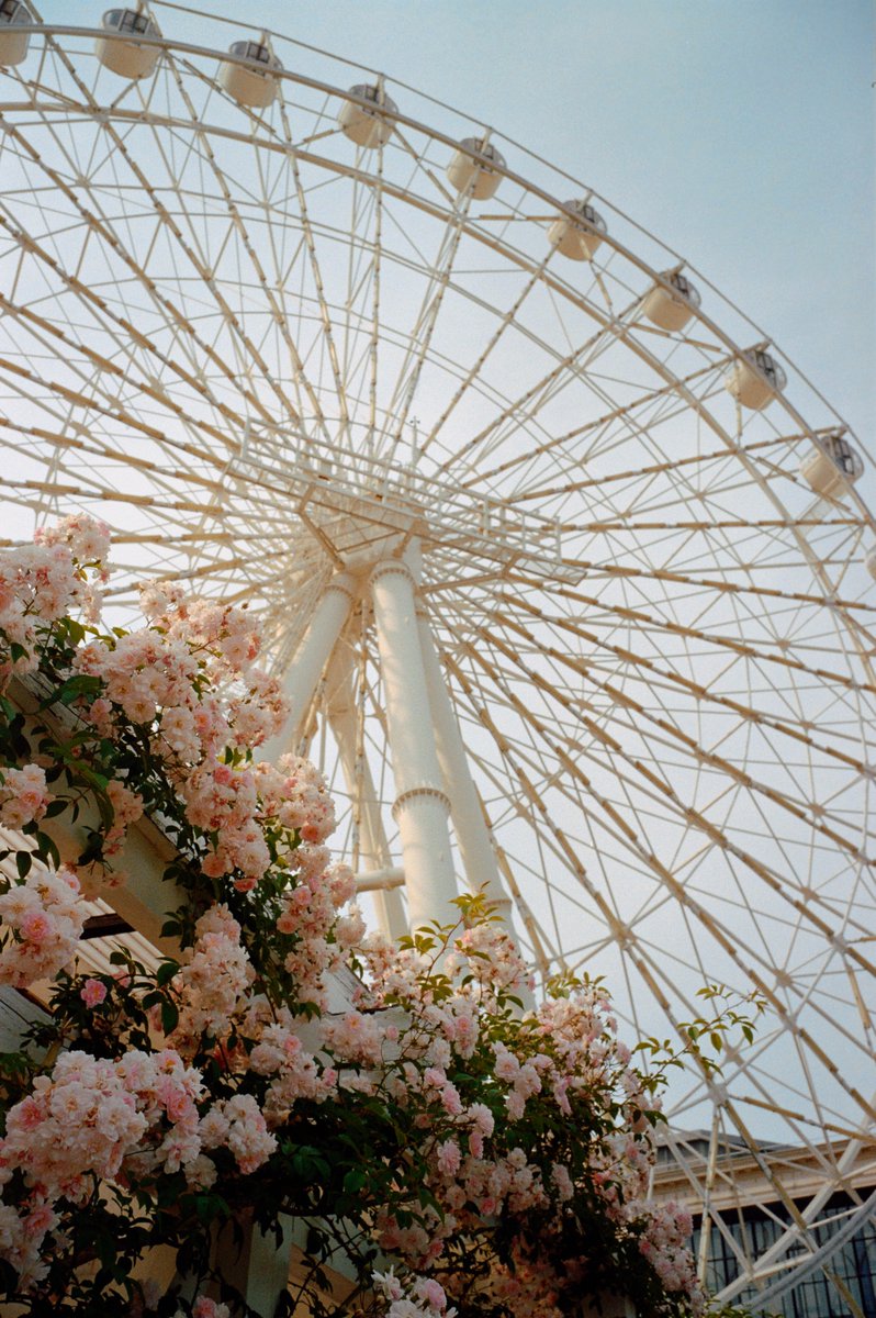 kebab99209873's tweet photo. The Playground / Nikon 35Ti https://t.co/7DvEupqu4a