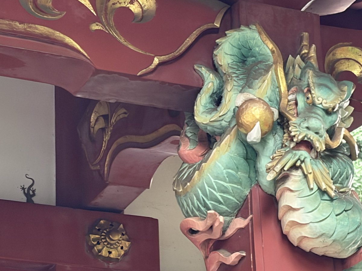 spoonGacha's tweet photo. 田無神社⛩
ヤモリだ！🦎
 #田無神社
 #神社
 #ヤモリ https://t.co/T0p1OoPfFJ