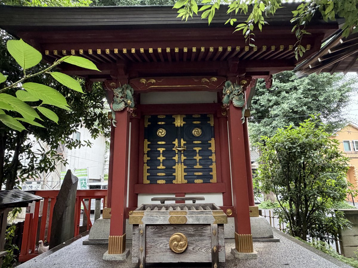 spoonGacha's tweet photo. 田無神社⛩
ヤモリだ！🦎
 #田無神社
 #神社
 #ヤモリ https://t.co/T0p1OoPfFJ
