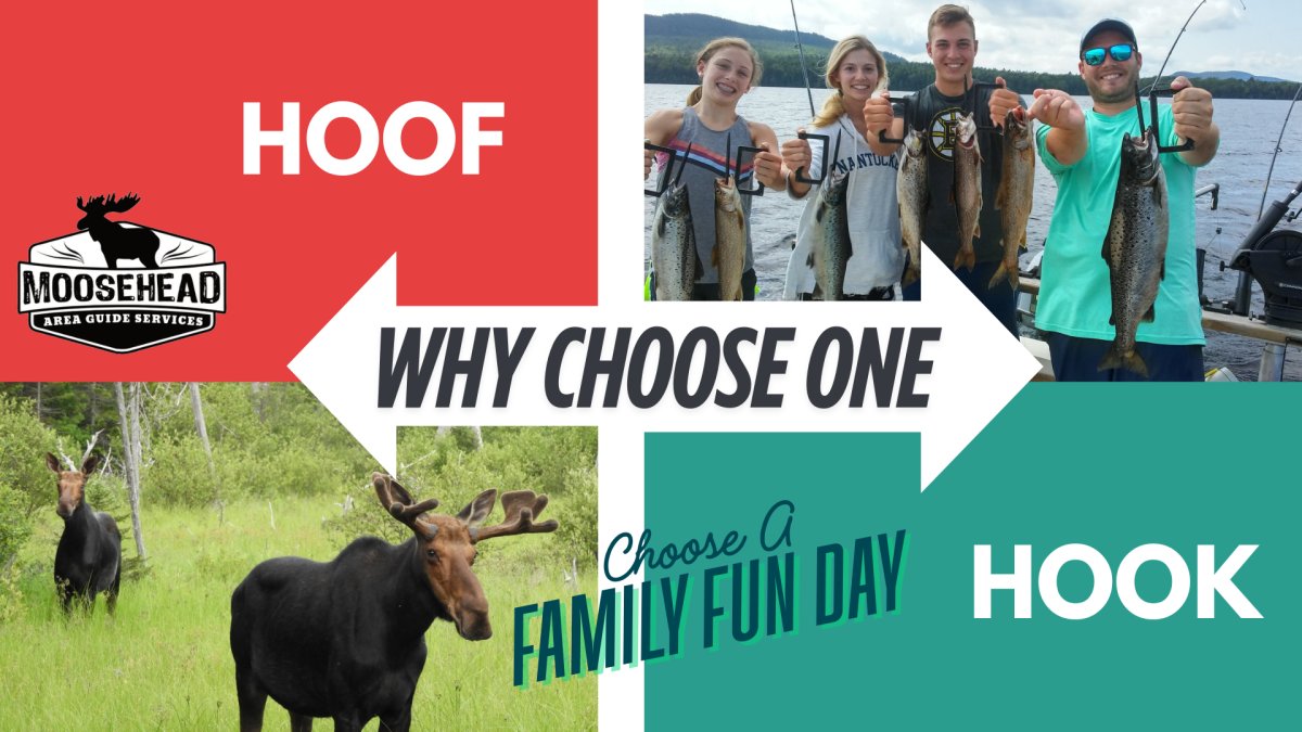 mainemoosetours's tweet photo. Planning a Moosehead Lake Excursion: The Ultimate Checklist for an Unforgettable Maine Outdoor Trip

https://t.co/dWjVwBZ2By https://t.co/UT64L0MfeR