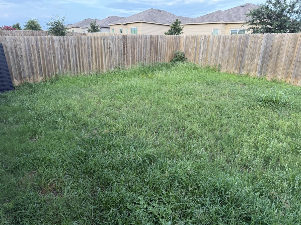 FullCourtServNB's tweet photo. 🏀🌱 From the Court to Your Yard 🌱🏀

On the court, we hustle for every bucket. Off the court, we hustle to make your lawn look its best.

We’re local high school basketball players who understand the value of hard work, discipline, and showing up every day. Whether you need a simple mow, edging, weed eating, or a full yard cleanup, we’re ready to get the job done right.

By choosing us, you're not only getting dependable lawn care—you’re also supporting local student-athletes as we work to earn money and improve our skills this summer. Message us for a free estimate today!