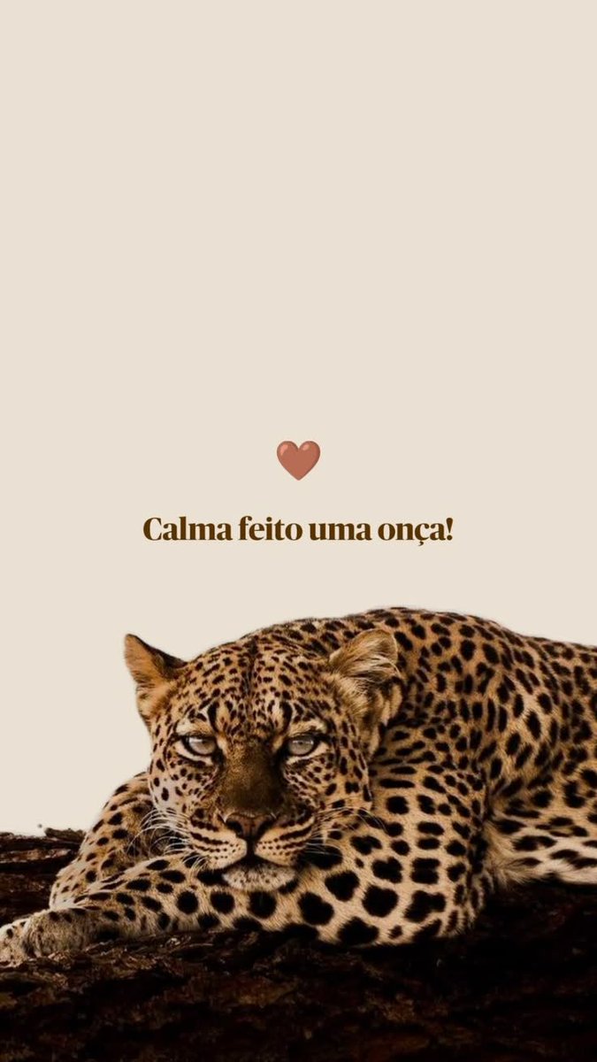 Frases tweet media