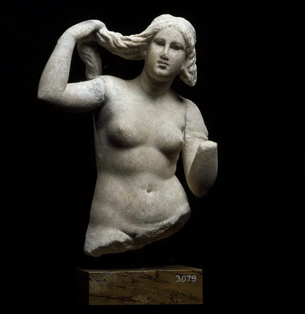 ratdisposalbunk's tweet photo. Everything Is An Excuse For 2nd Century BC Myrina Kneeling Aphrodite Clay Statuette Study. Everything Is An Excuse For 3rd Century BC  Pharbaithos (Egypt) Anadyomene Aphrodite Marble Statue Study. https://t.co/OuiPtzRms3