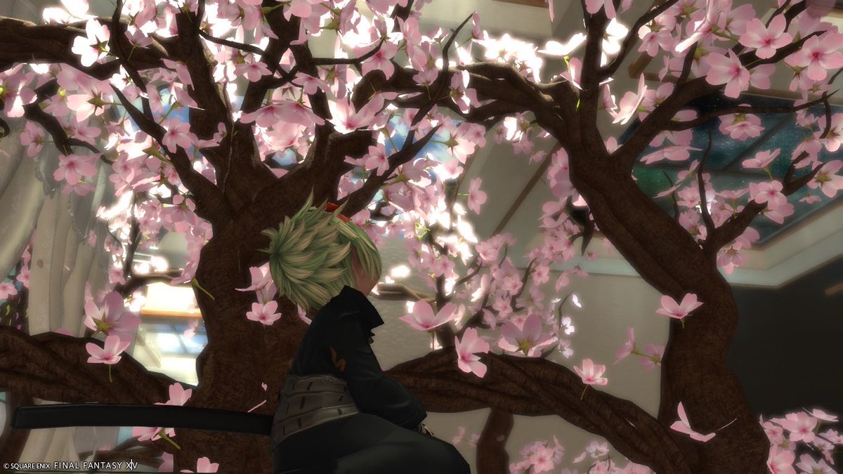 Regnum_Gehenna's tweet photo. おはララです！
昨日は疲れて寝てました( ˘ω˘ ) ｽﾔｧ…
いっぱい寝て体力回復しました！！
明日は用事多めだけどお休み！
お仕事頑張るぞー٩( 'ω' )و
#FF14SS #おはララ　#ららるーむ https://t.co/gQ83s9riUj