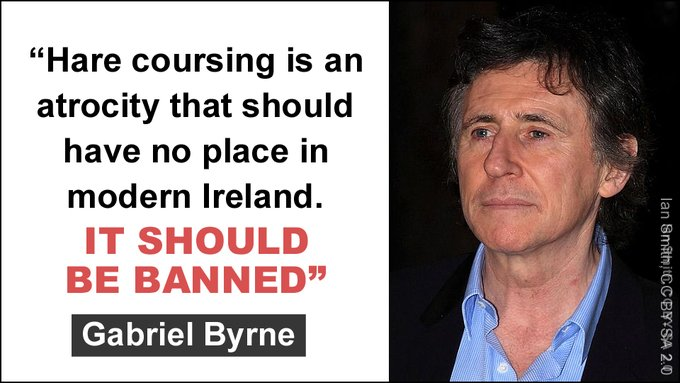 banbloodsports's tweet photo. "Hare coursing is an atrocity that should have no place in modern Ireland. IT SHOULD BE BANNED" - Gabriel Byrne. Join us in urging Irish politicians to ban cruel coursing on 2nd July. Find a sample letter and contact details at ➡️ https://t.co/4qgwqYQnge #Ireland #BanHareCoursing https://t.co/WRdD6TDEqQ