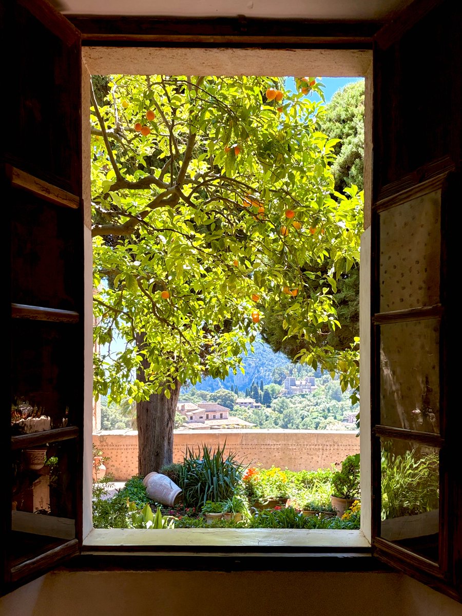 tomchat_jt's tweet photo. @elderrNFTs @nwyusemenwyudnt @cz_binance @Ty0xide @Arts_of_core @SIGNAL_OBJECTS @Chromarift_nft @DarkLegacyNFT Nice thread!
Captured Chopin’s actual window in Valldemossa → fine art photography NFT collection.
„The Chopin Window” → https://t.co/TYaKz8PCt1 https://t.co/TT6flLUvzI