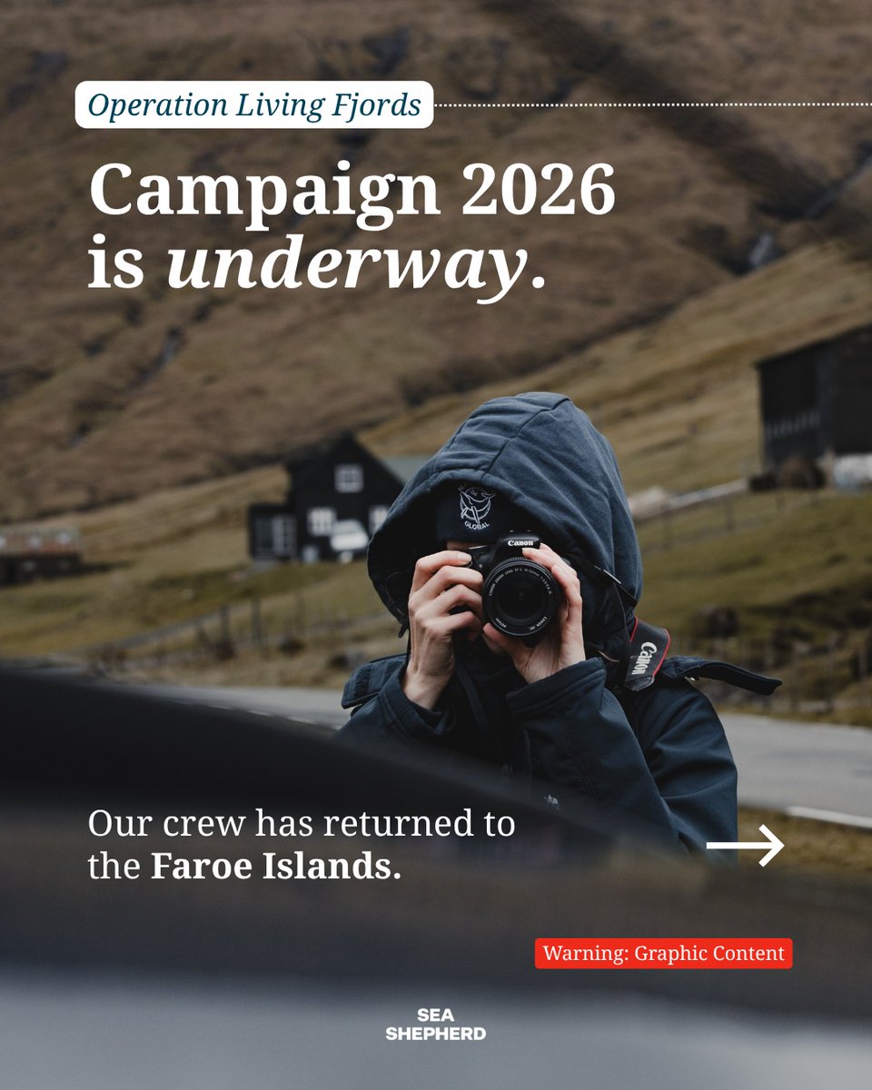 seashepherider's tweet photo. Today, Wednesday the 27th, an apocalyptic day unfolded in the Faroe Islands.

Three bloody grinds were called in the final hours of the day.… https://t.co/fKvT02bnDP