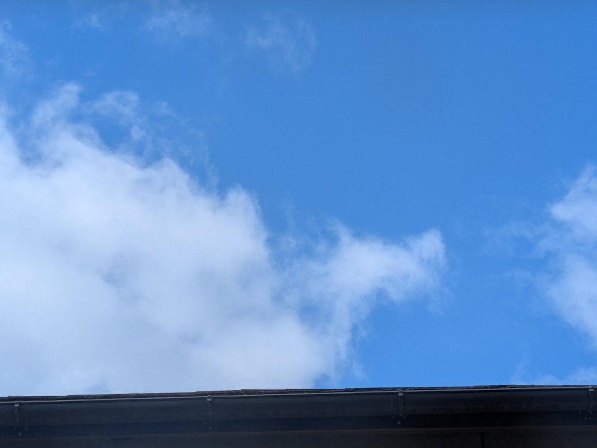 spider_06's tweet photo. 昨日一日中雨降ってたのに何なん今日。ハラ立つな、おい☀ https://t.co/DLrwSnUKQ7