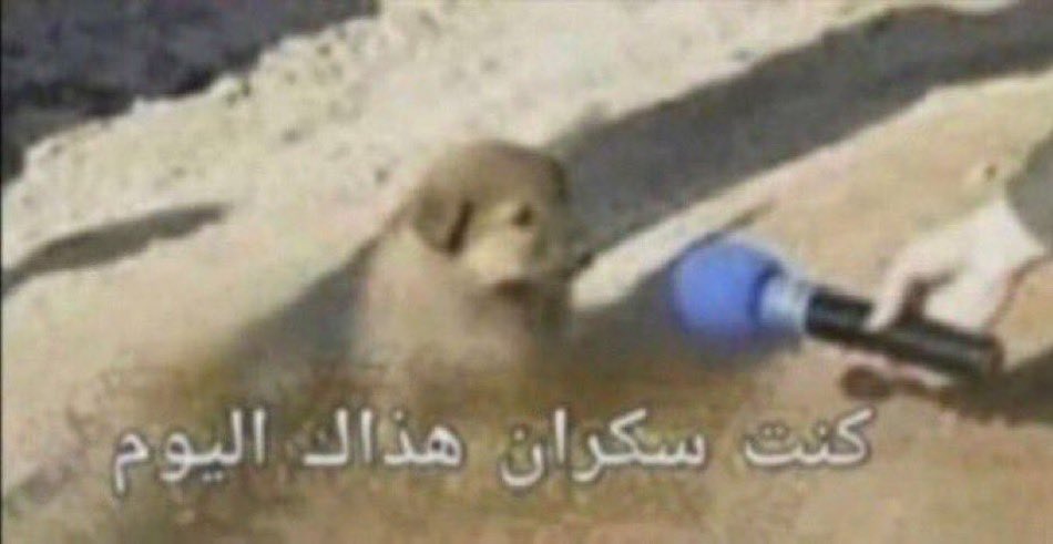 DDDMme1's tweet photo. @wenndza حرفيااا ، كنت ادخل ع حسابات الببلك من حسابي الفيك وتبلكت ومن يومها تربيت بس كانت فعاليتي المفضله https://t.co/1mwxTbHWSS