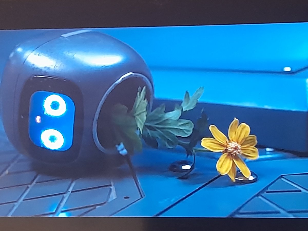 ocupa6736's tweet photo. I really enjoyed the movie. Despite the flood of spoilers I got when it was released...
The part where the XTB plant was taken care of, even though he was no longer there, really moved me. 🥺 ...I still haven’t recovered from RFX, and now XTB has been added to the list...😭 https://t.co/E89UyTVLHG