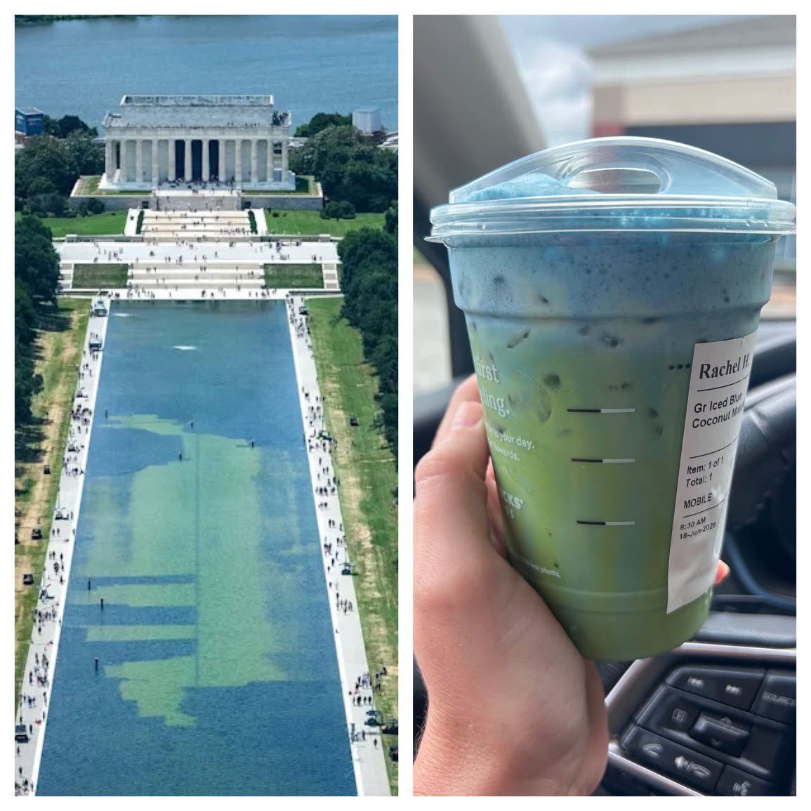 rabbitSZN2's tweet photo. @Real_Ames Who wore it better? The Reflecting Pool or the Iced Blue Coconut Matcha?￼ https://t.co/GjZ6DOdoRV