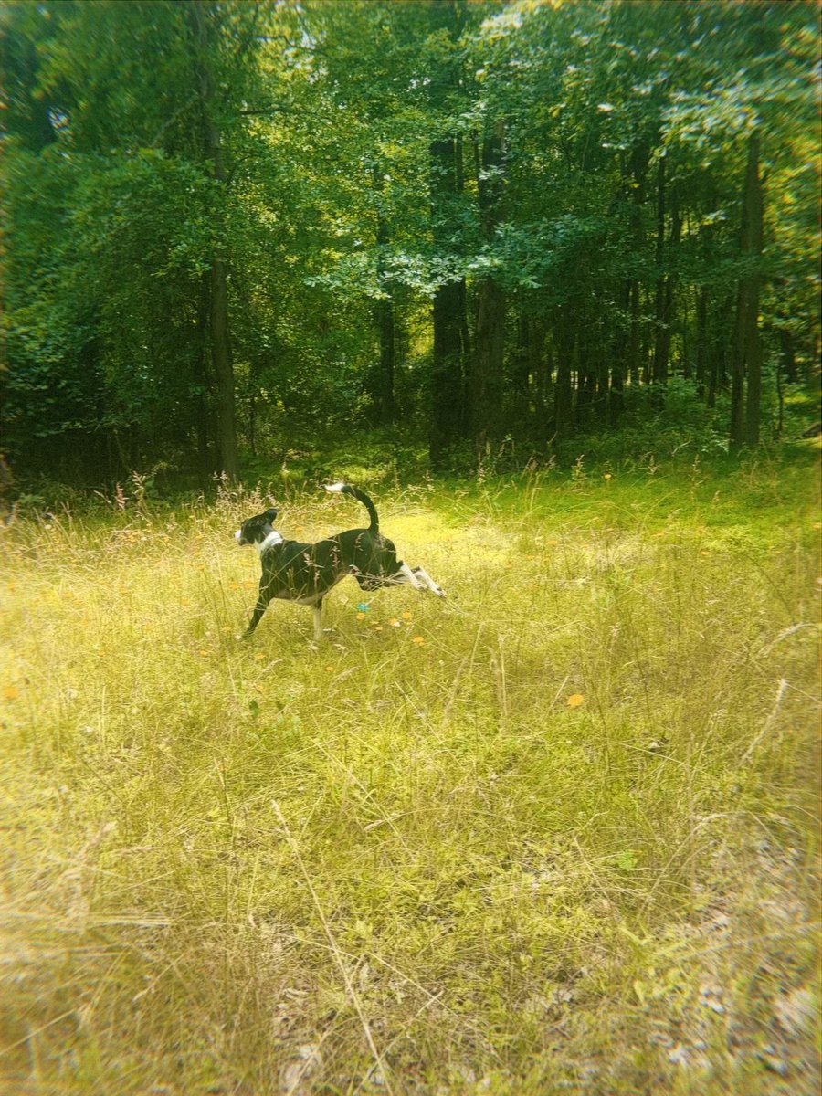 ashbazile's tweet photo. Lil man looking like an impressionists painting https://t.co/DtMPOdJlSw