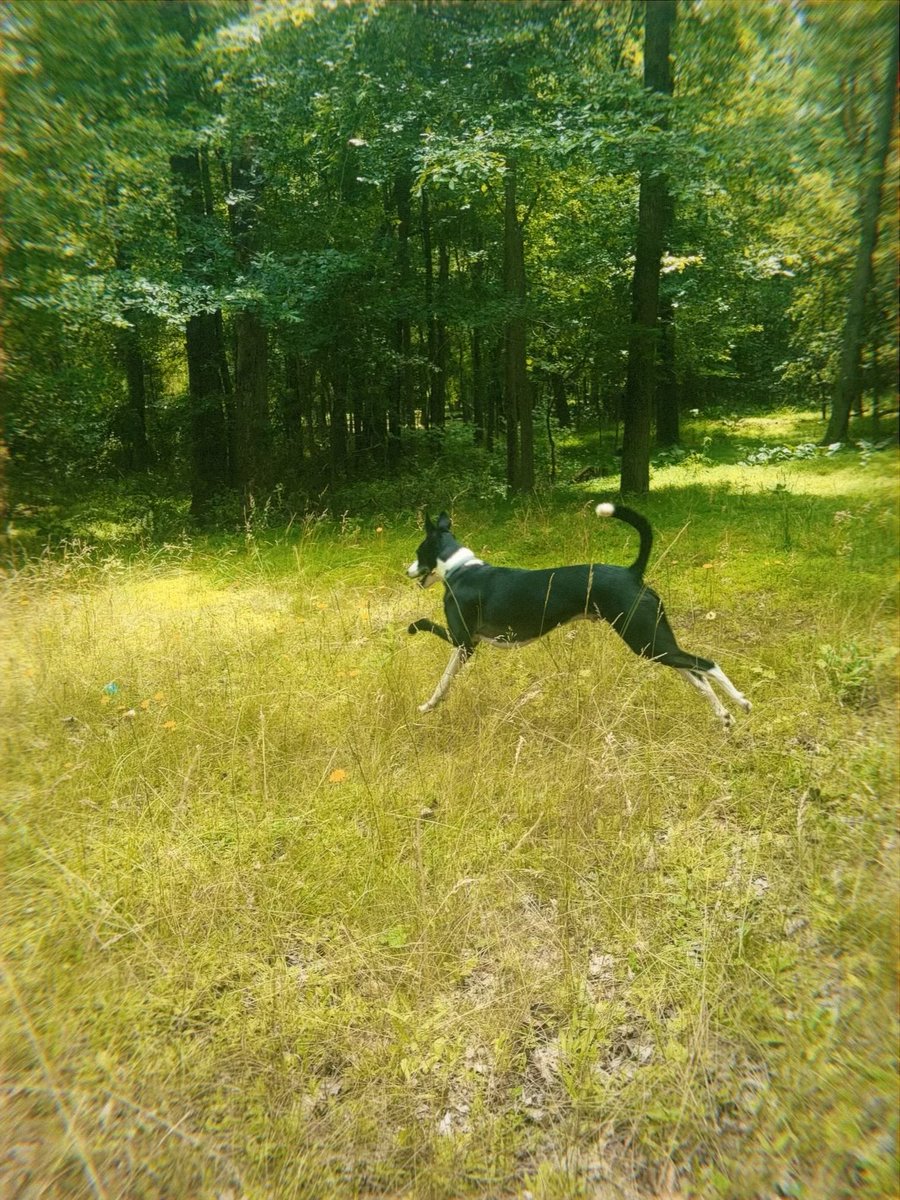 ashbazile's tweet photo. Lil man looking like an impressionists painting https://t.co/DtMPOdJlSw