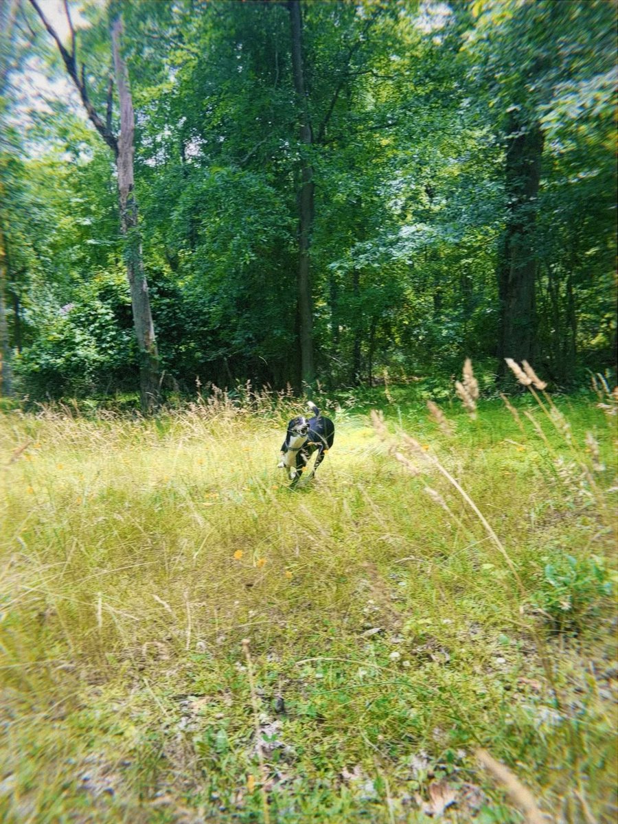 ashbazile's tweet photo. Lil man looking like an impressionists painting https://t.co/DtMPOdJlSw