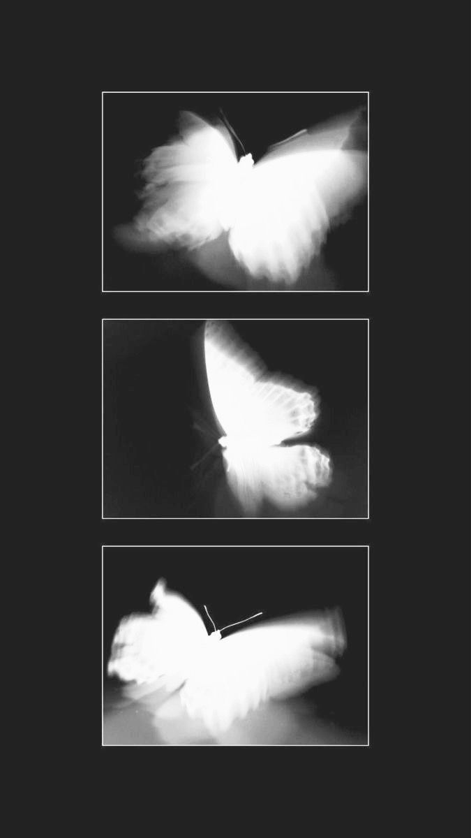 Dark. tweet media