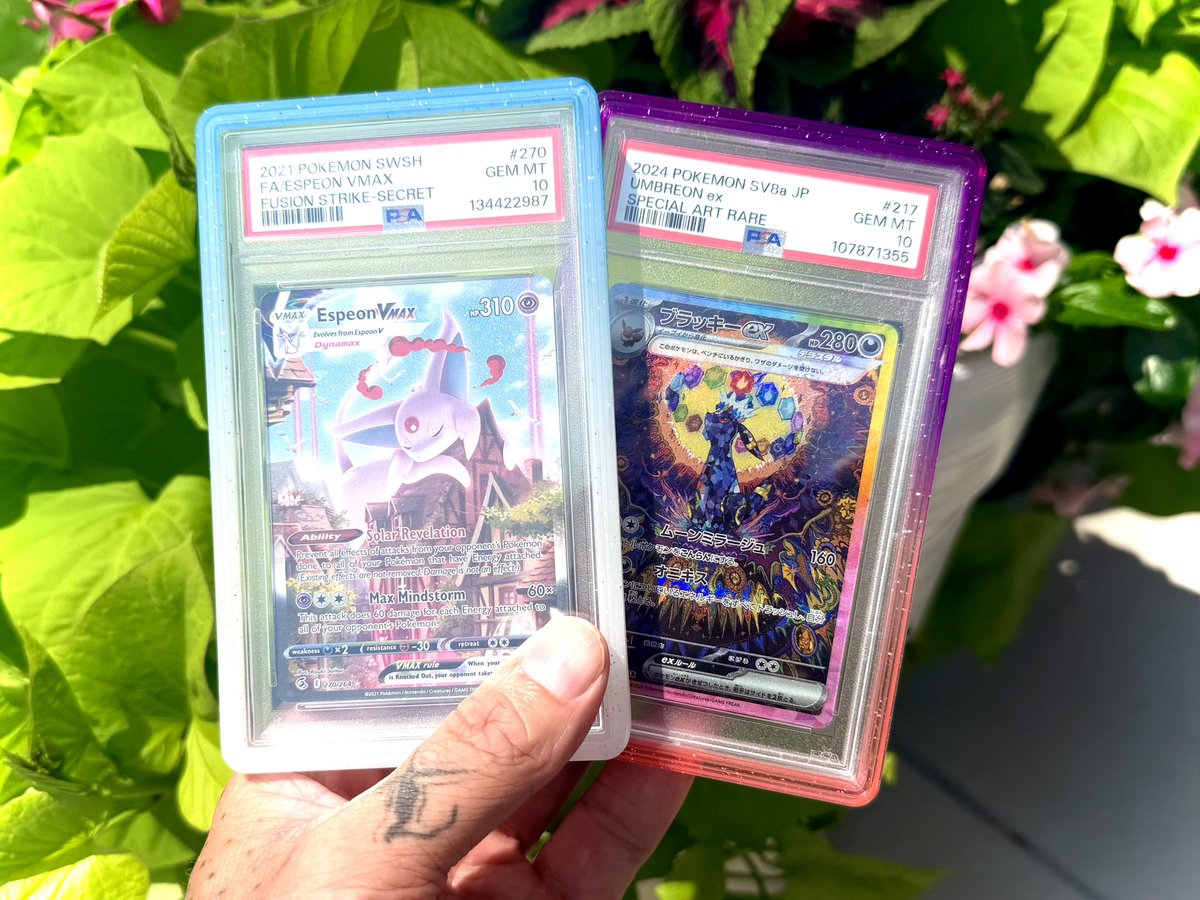 BloodVariety's tweet photo. I’m looking for eeveelution slabs

If you have any in a psa 10 let me see them https://t.co/9MQQGhIdJE