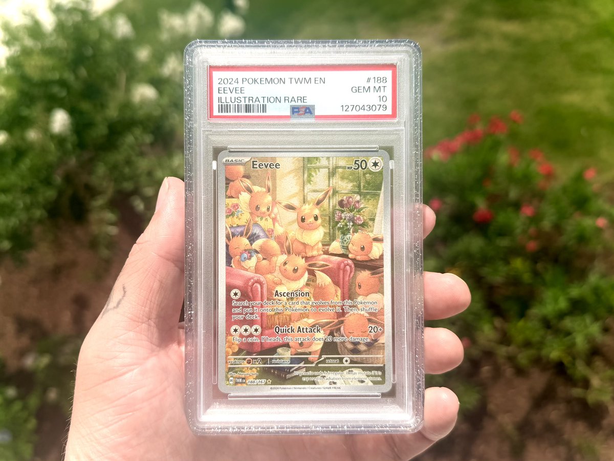 BloodVariety's tweet photo. I’m looking for eeveelution slabs

If you have any in a psa 10 let me see them https://t.co/9MQQGhIdJE