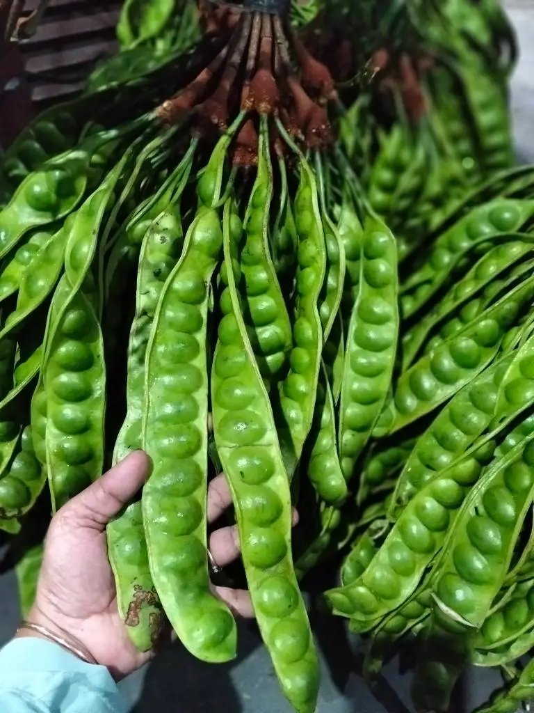 windaahy's tweet photo. Ke pasar beli ini, mau di taruh mana.. Kelihatan orng malu, tapi rasanya enak.. Siapa yang tidak suka dengan ini... https://t.co/d7P2fZTGld