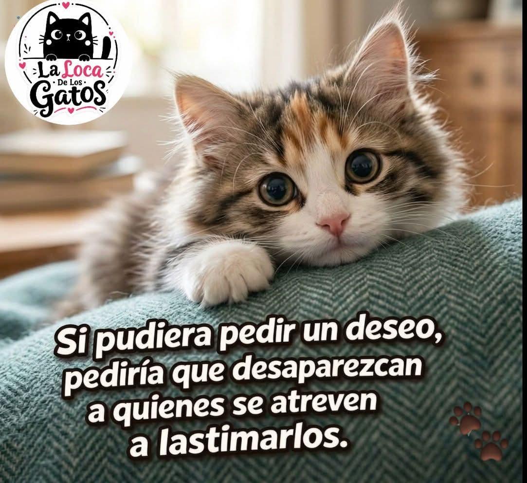 ManuSaenzVolvio's tweet photo. ❤️ https://t.co/FkBYEUFV57