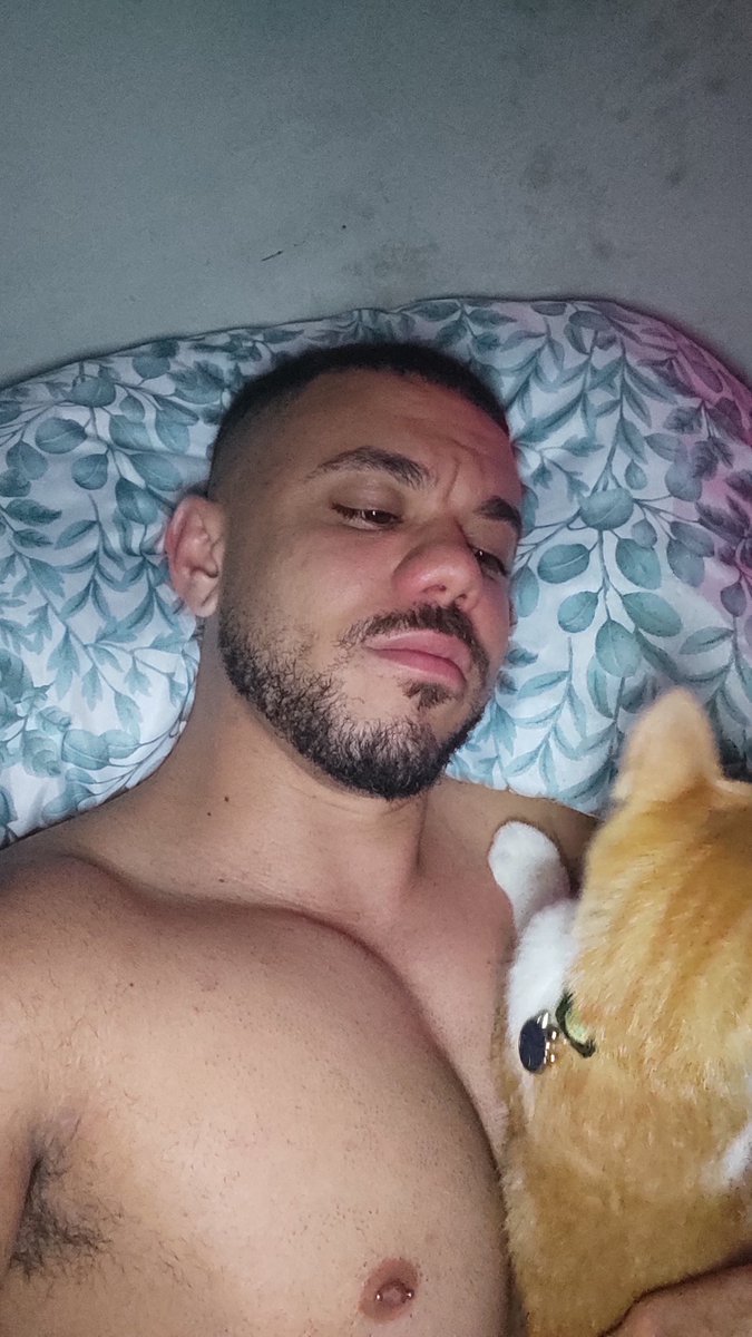 Wesllyn7's tweet photo. #gato https://t.co/67Cl2orNzB