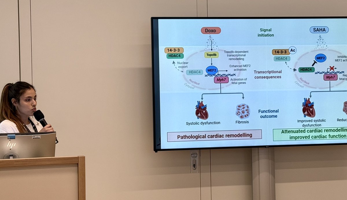 LorenzLehmann's tweet photo. Great days at #ESCardioOnco26! Happy and inspired by discussions and a bag full of new collaborations! Proud on my enthusiastic group members for their work and excellent presentations!! 😎 https://t.co/z8jeaKyHnx