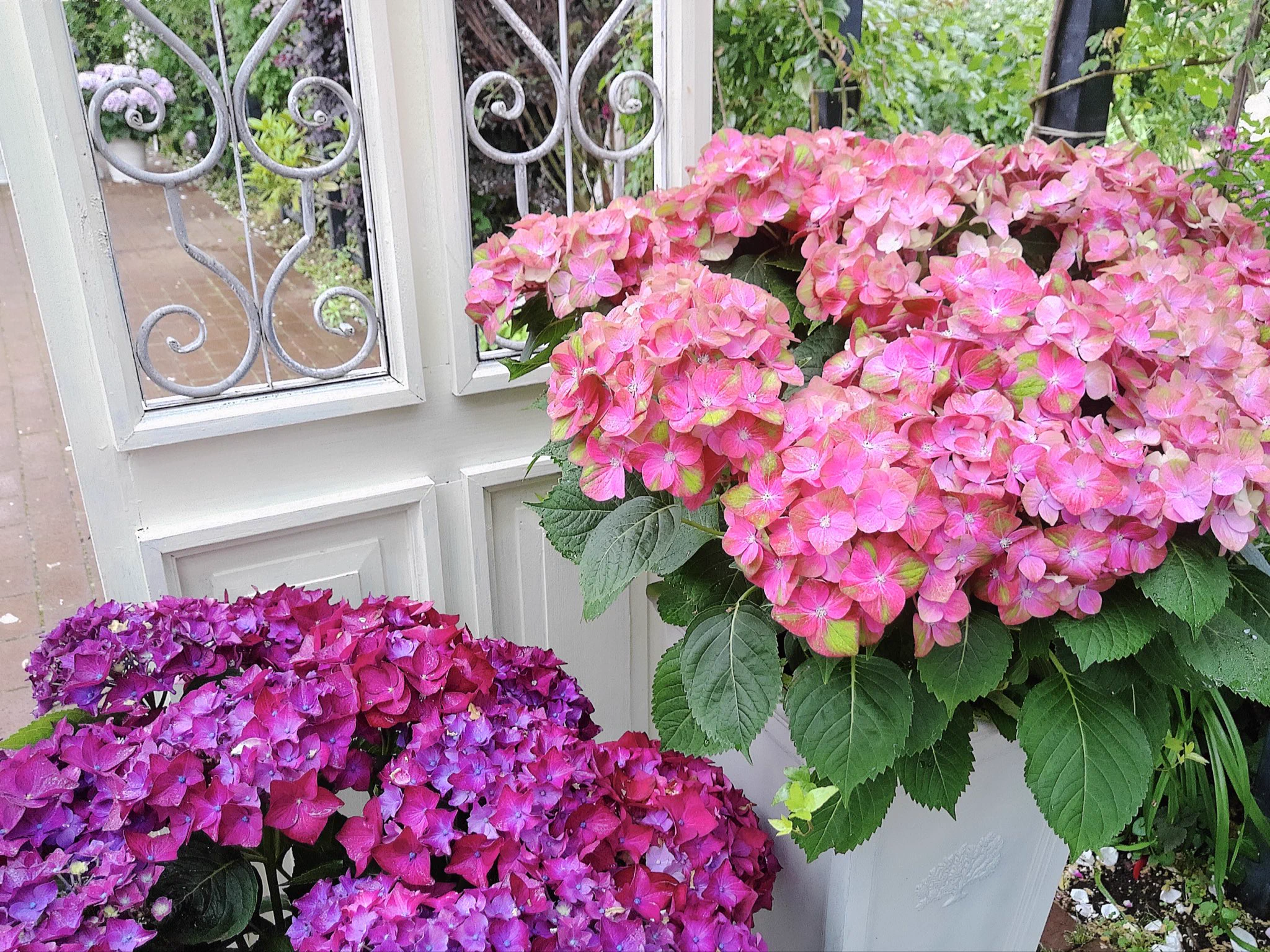 月島 琉衣 on X: 