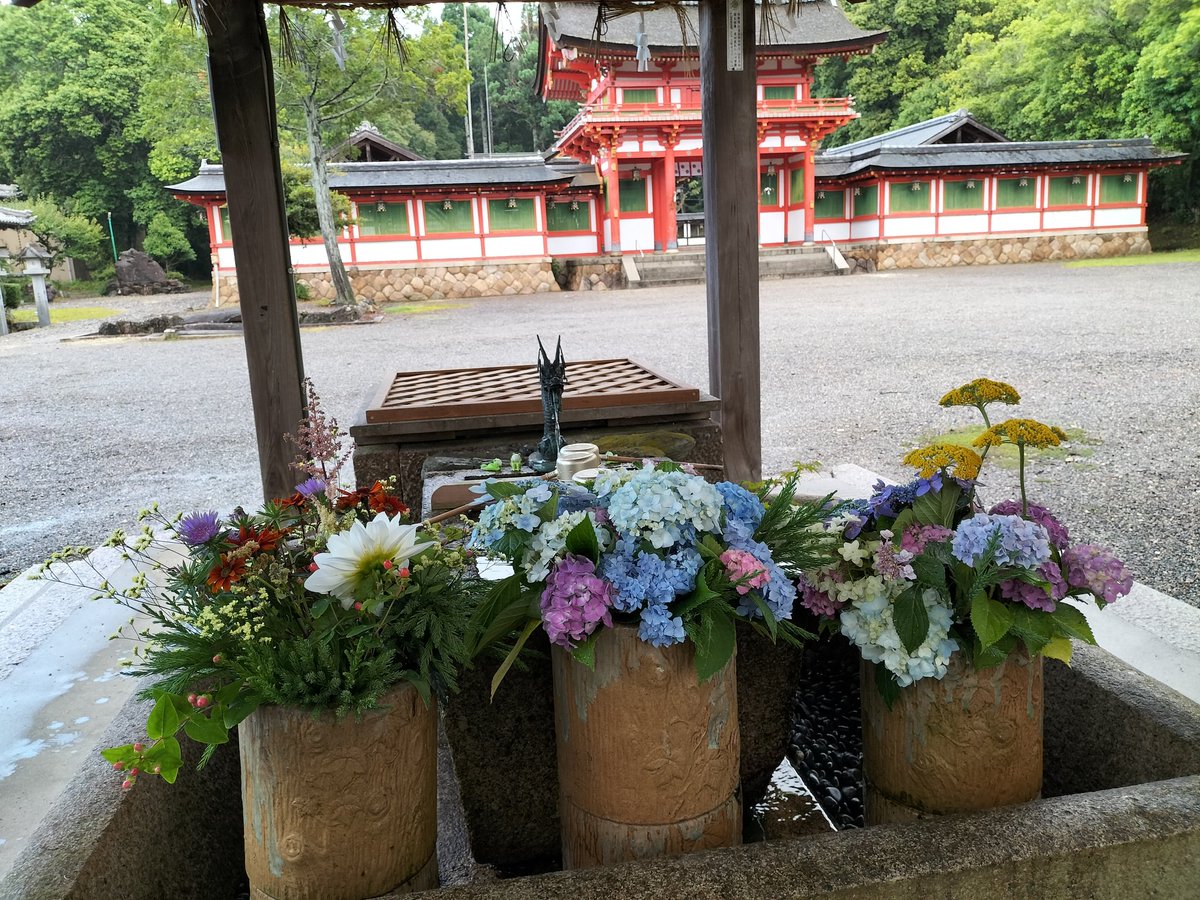 koukagion's tweet photo. おはようございます、今日は夏至です。梅雨の時期ですが、体調には気をつけていただき、良い一日をお過ごしくださいませ。 https://t.co/Fdsjv6eR3U