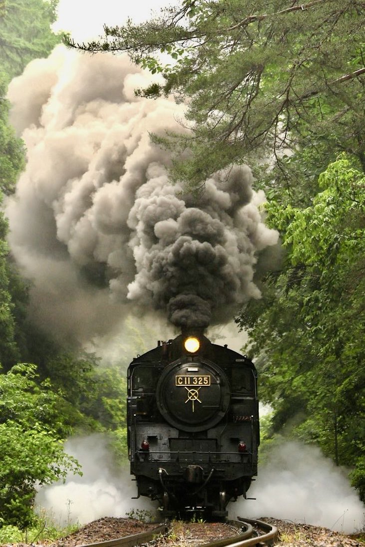 D51124's tweet photo. ＳＬ大樹「土津(はにつ)」🚂、雨☔の中、蒸気機関車C11が塔のへつり駅へやって来ました。
会津鉄道　湯野上温泉→塔のへつり
2026/6/12  11:42撮影📷
　　　　https://t.co/TpsR5zRNNB😊
#蒸気機関車 #会津鉄道 #ＳＬ大樹 #ＳＬ大樹土津 #C11 #塔のへつり #湯野上温泉 #会津若松 #福島県 https://t.co/p9uWJx6DC5