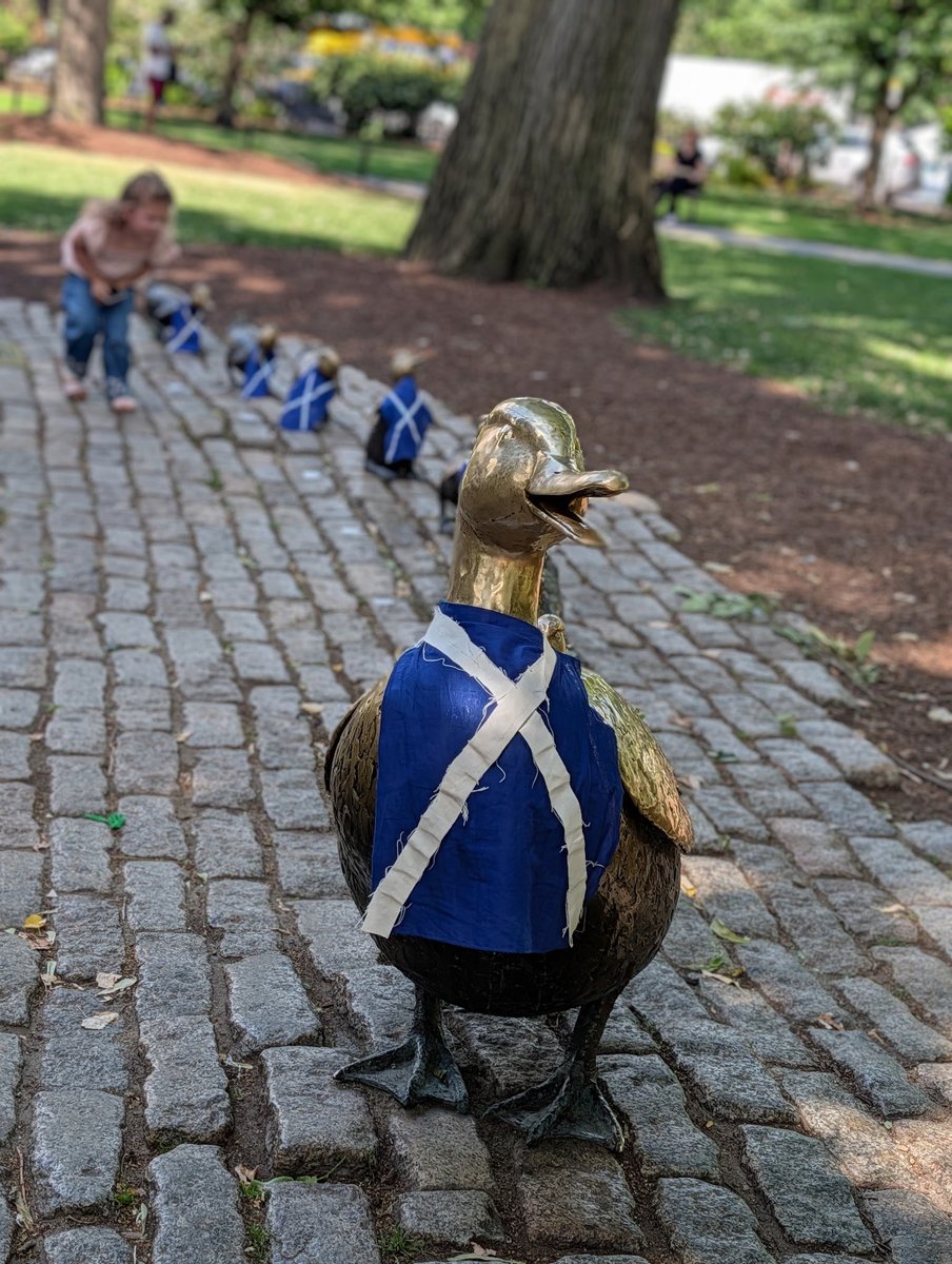 Huggins2687's tweet photo. My cousin took this picture up in Boston. The Tartan Army  placed the Scottish flag on these ducks.
 😂🥰💙🇺🇸🏴󠁧󠁢󠁳󠁣󠁴󠁿🤍 https://t.co/bx6aUmIfYJ