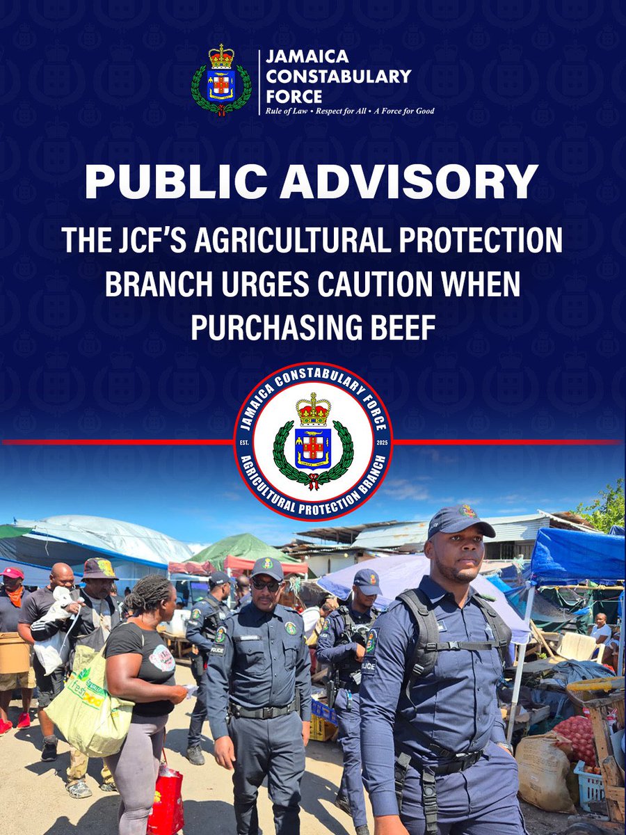JamaicaConstab's tweet photo. The Jamaica Constabulary Force’s (JCF) Agricultural Protection Branch (APB) is warning the public to exercise caution when purchasing beef following the illegal slaughter of eight cows in Clarendon between Friday, June 19, and Saturday, June 20.
 
Reports from the Area 3 APB Team are that at about 1:30 a.m., on Saturday, June 20, a farmer discovered that eight of his cows had been stolen; they were later discovered slaughtered near the PJ Patterson Highway in the vicinity of St. Jago Road and Duke Street in Clarendon. The perpetrators have not been apprehended, and investigations into the matter are ongoing.
 
The APB is warning the public against purchasing beef from unknown or unverified sources within the area, as the illegally slaughtered animals did not undergo the mandatory veterinary inspection required to determine their suitability for human consumption. Meat from such animals may pose a serious public health risk and should be considered unsafe to consume.
 
Members of the public are strongly encouraged to purchase beef only from licensed and reputable vendors. Butchers, meat vendors, wholesalers, restaurants, supermarkets, and consumers are also urged to remain vigilant and report any suspicious sale of beef or other meat products, particularly those being offered at unusually low prices. Reports can be made to the APB tipline at 658-219-2063, the police emergency number 119, or Crime Stop at 311.