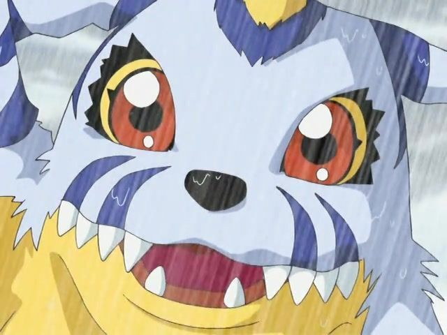 PikaPikachu150's tweet photo. Gabumon must be one of the best Digimon that exist ❤️

#Digimon #디지몬 #デジモン https://t.co/9G9m6scOCV