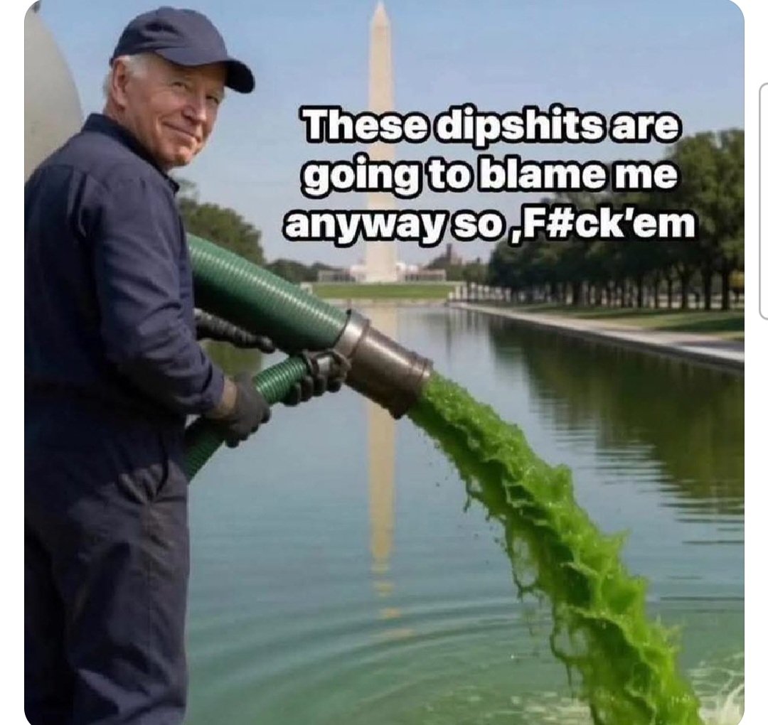 honeywhite2023's tweet photo. @AdamKinzinger @smc429 Joe Biden did it 🤭 https://t.co/P4VhC6c34q