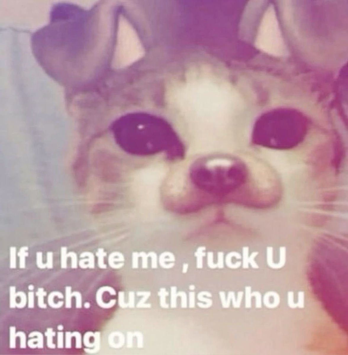 applewiwa's tweet photo. @PuppiboiMD my oomfie doesnt deserve this treatment https://t.co/ErnRsY8SDj