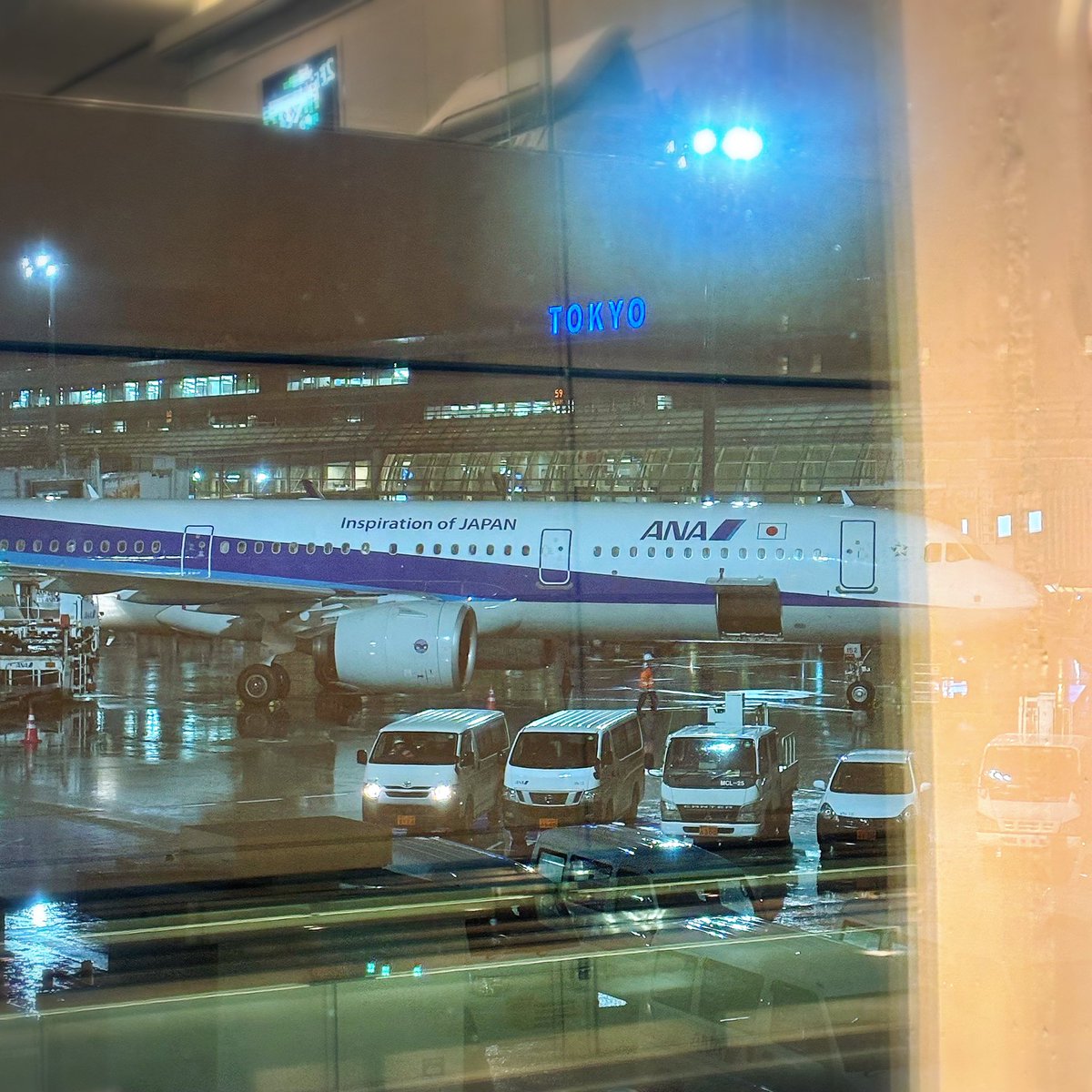 you7m24's tweet photo. 昨夜、海を渡り沼地から都会へ✈️
どこに行くとかもまだ決めておらず、気の向くまま～田舎者がウロウロします😌
しばらく、のーんびり滞在の予定。 https://t.co/fBr7eD8R2J
