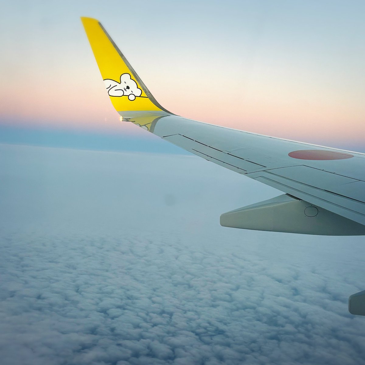 you7m24's tweet photo. 昨夜、海を渡り沼地から都会へ✈️
どこに行くとかもまだ決めておらず、気の向くまま～田舎者がウロウロします😌
しばらく、のーんびり滞在の予定。 https://t.co/fBr7eD8R2J