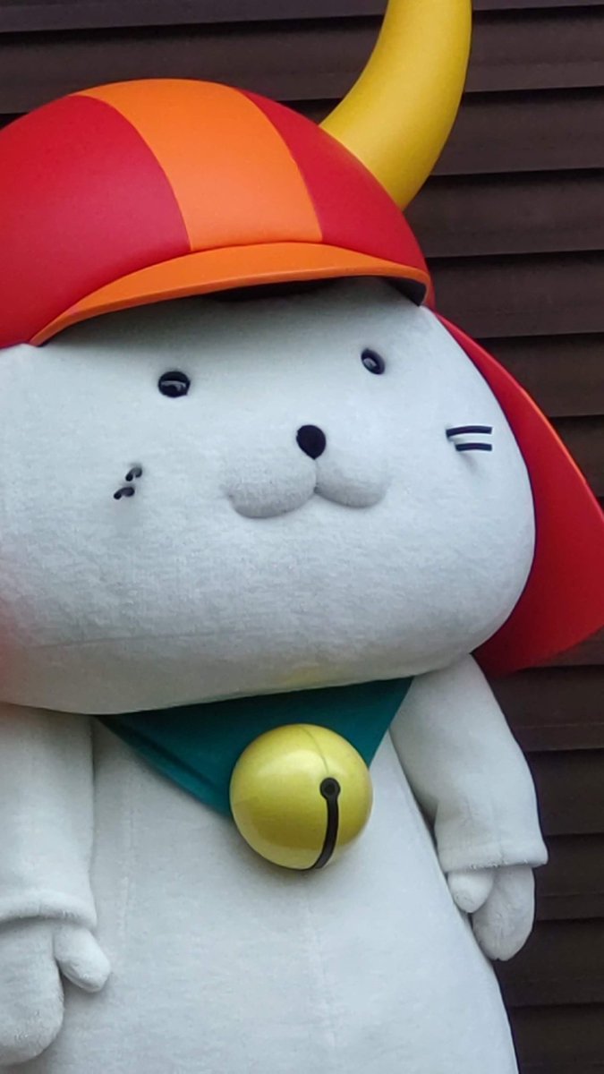 EtMomoco's tweet photo. かわゆ https://t.co/D5ArJ0nHqn
