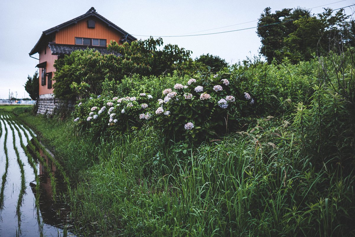 mrh_1968's tweet photo. 「心の岸辺」
FUJIFILM X-E5 / Voigtländer NOKTON 23mm F1.2 Aspherical X-mount    

#fujifilm #xe5 
#voigtlander 
#nokton23mmf12xmount 
#今日もX日和 https://t.co/dZzd6FANGX
