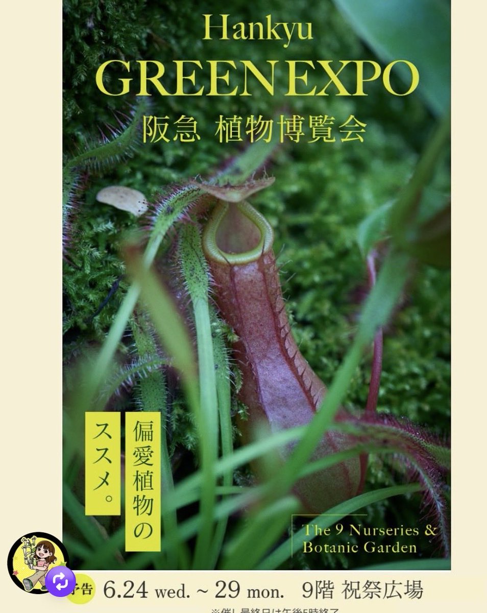 salameshi's tweet photo. おはようございます😃
今週はHankyu GREEN EXPO 阪急 植物博覧会のイベントを目標に頑張ります？…💦😅w https://t.co/aZujsz1aQt