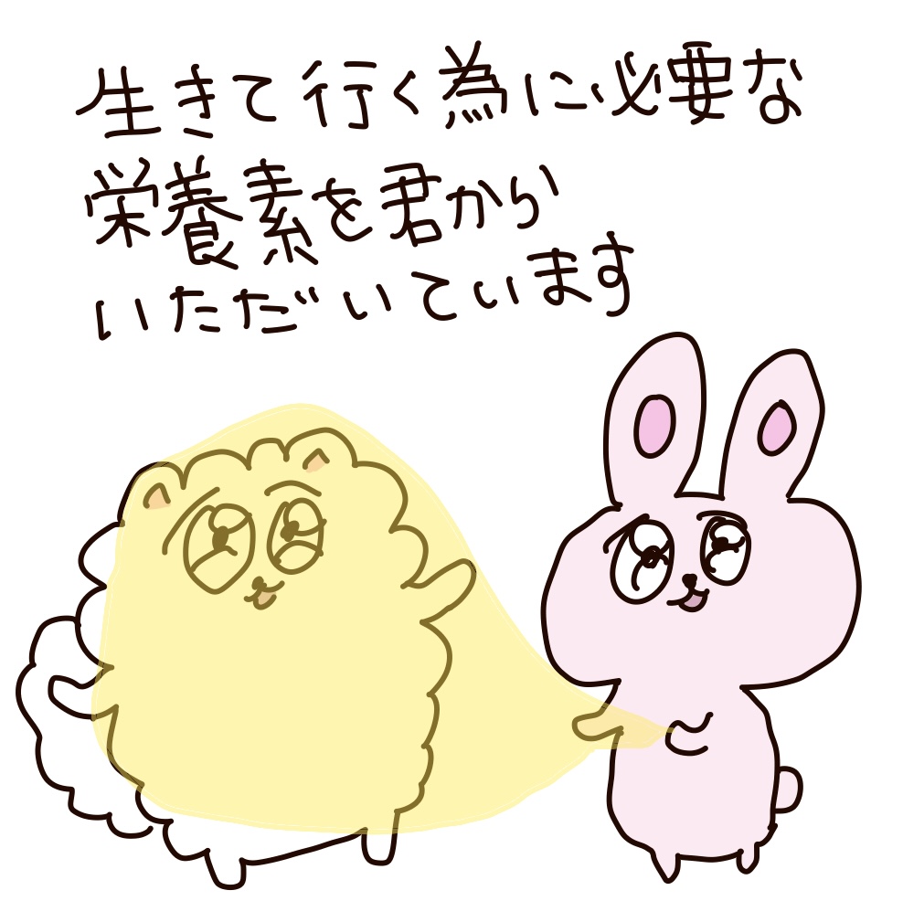 hanautarurara's tweet photo. https://t.co/NKzR49JVXE