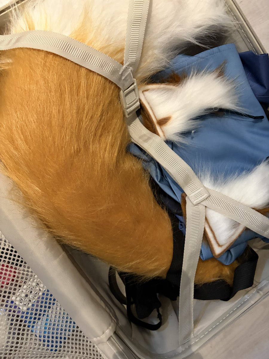 Qu___mix's tweet photo. ほぼしっぽ
初のスタ撮楽しみ🦊🎶🎶 https://t.co/q8ybXCCLdI