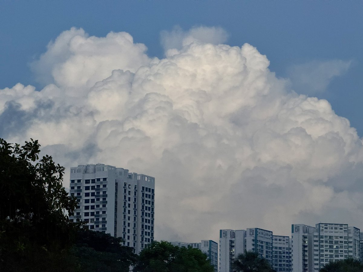 nastynickx's tweet photo. Crisp, vivid and impossibly puffy clouds rising above the skyline on Father’s Day. https://t.co/xYXmpFSqka