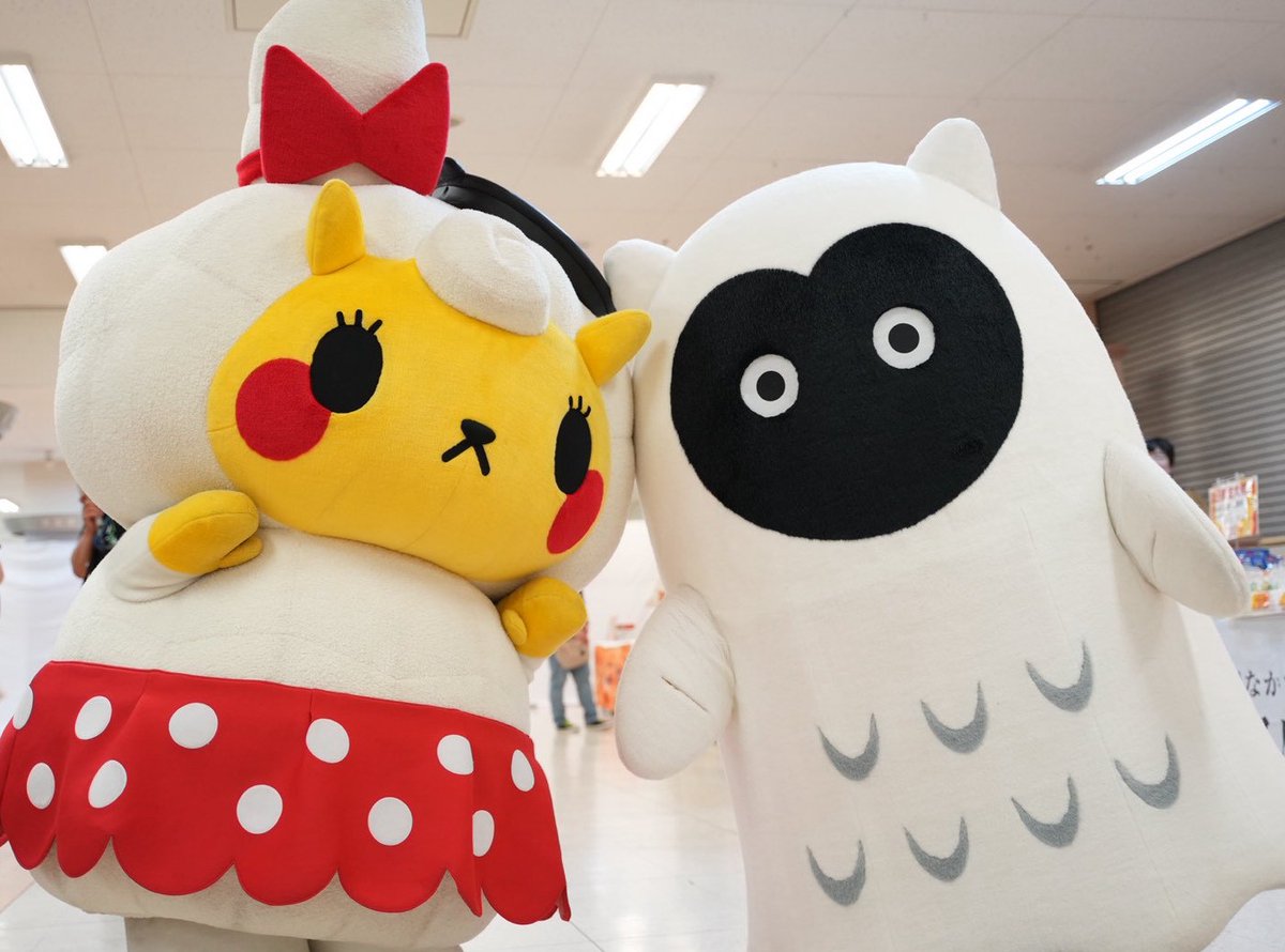 GO太くん【五稜郭タワー公式】❄️ (@gota_kun) / Posts / X