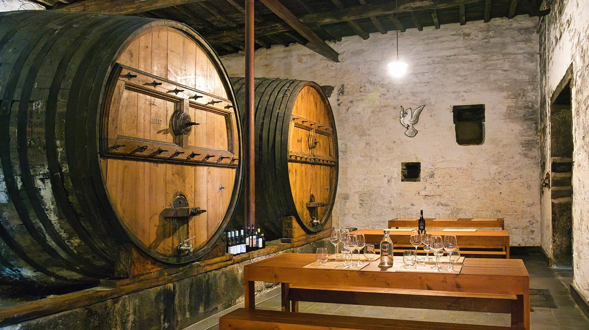 Go_TravelPlanet's tweet photo. Quinta de Santa Julia (wine estate) Douro Valley #Portugal
#dourovalley https://t.co/Ss14GRIz43